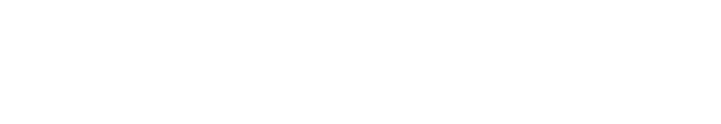ACE Assessoria Empresarial